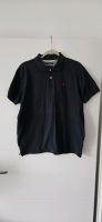 Poloshirt Gr. M Brandenburg - Potsdam Vorschau