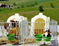 Kälberhütte/ Iglu / Hundehütte Parchim - Landkreis - Barnin Vorschau