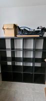 Ikea Kallax 4×4 schwarz Stuttgart - Vaihingen Vorschau