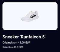 Original Runfalcon 5  nur 2 mal in der Halle getragen Bayern - Pegnitz Vorschau
