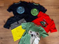 5 T-Shirts, Junge in Größe 116 Niedersachsen - Lehre Vorschau