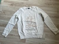 Disney Pullover Größe XS Hessen - Rosbach (v d Höhe) Vorschau