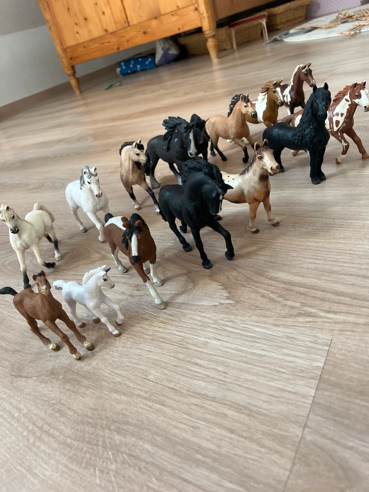 Schleich Pferde in Bad Sooden-Allendorf