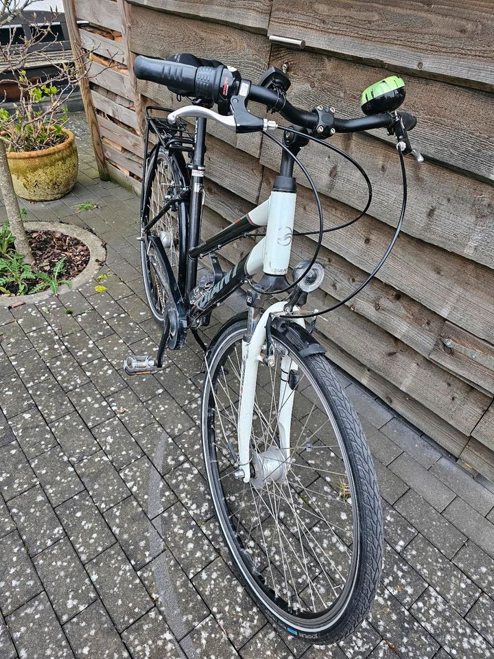 Fahrrad Damen in Kassel