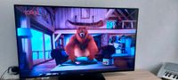 Fernseher Philips 49"  4K Smart LED TV Nordrhein-Westfalen - Bad Laasphe Vorschau