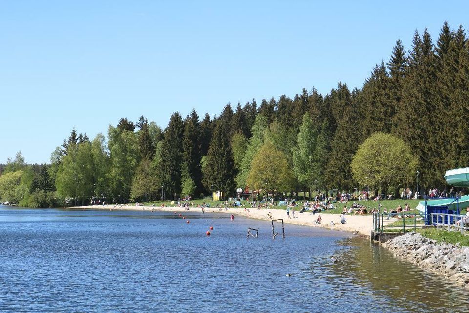 Fewo in idyllischer Waldlage im Erzgebirge/Greifenbachstauweiher in Chemnitz