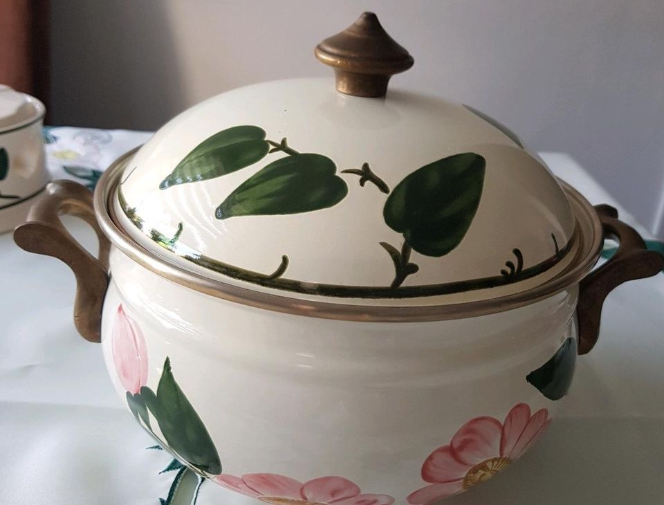 Villeroy Boch Wildrose Wild-Rose Emaille Topf ASTA 22cm in  Nordrhein-Westfalen - Gütersloh | eBay Kleinanzeigen ist jetzt Kleinanzeigen