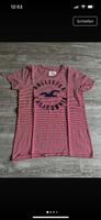 Tshirt Hollister Damen Niedersachsen - Uelzen Vorschau