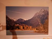 Sehr grosses Bild vom Schloss Neuschwanstein in Bayern Rheinland-Pfalz - Westhofen Vorschau