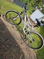 Fahrrad Mountainbike Niedersachsen - Rodenberg Vorschau