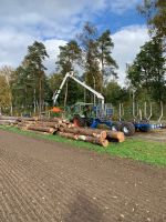 Rückewagen Mieten,Holzkran,Holztransporter Niedersachsen - Verden Vorschau