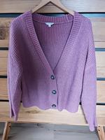 Damen Strickjacke M Sachsen-Anhalt - Magdeburg Vorschau
