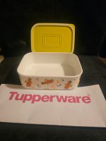 Tupperware Qattro Vorratsbehälter  Butterdose gelb  neu Duisburg - Duisburg-Süd Vorschau