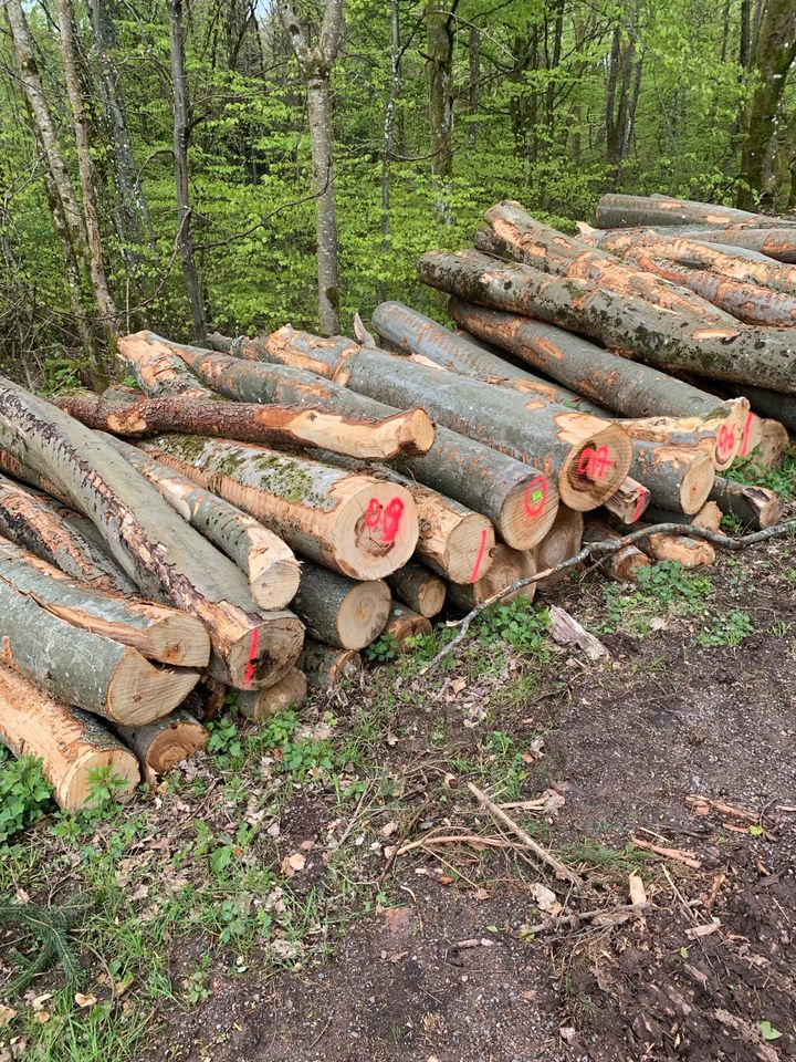 Brennholz  Buche Eiche Laubmix Holzvergaser Holz 50cm in Nonnweiler
