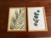 Kunstdruck Pflanzen Eykalyptus Hannover - Südstadt-Bult Vorschau