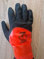 SALE! UVEX THERMO HD HANDSCHUHE Bayern - Plattling Vorschau