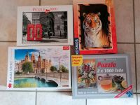 Verkaufe oder tausche 4 Puzzle 1000 Teile Leipzig - Liebertwolkwitz Vorschau