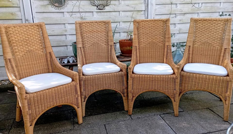 4-er Set stilvolle und bequeme Rattan-Stühle in Heidelberg