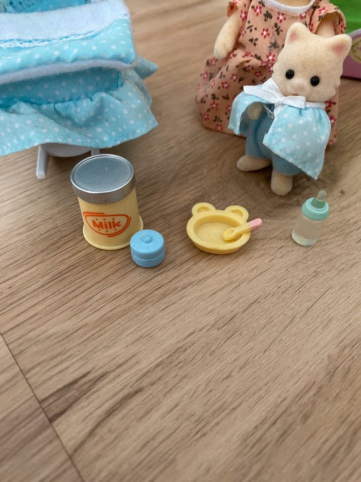 Sylvanian Families > the new arrival in Wangen im Allgäu