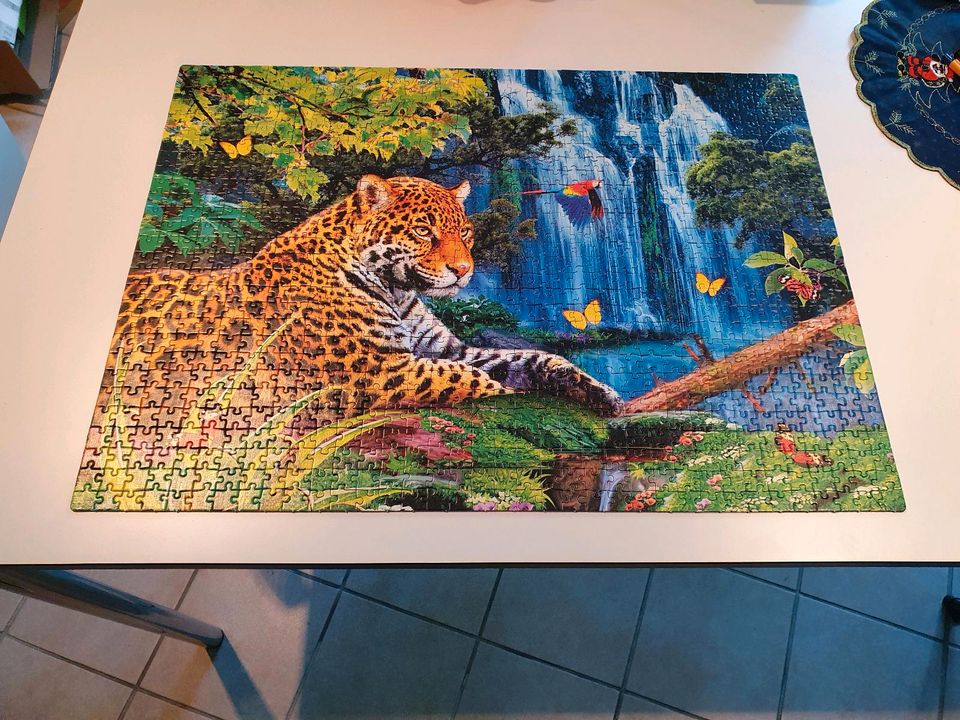 1000er Magic 3 D-Puzzle von Clementoni Jaguar Jungle in Wiesbaden