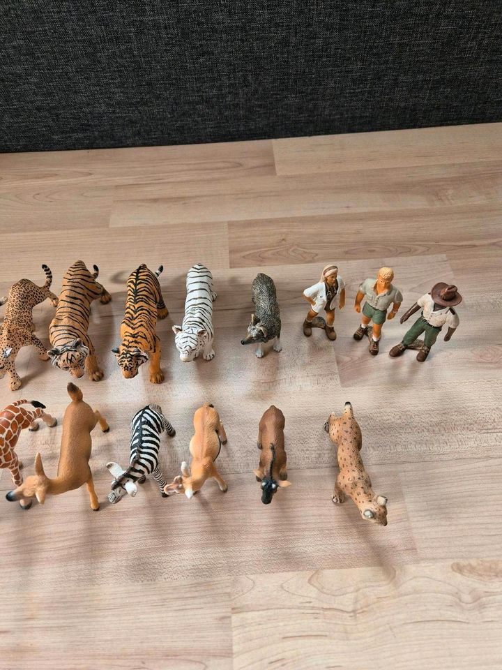 Schleich Figuren Wildlife in Hofgeismar