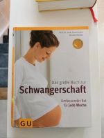 Das große Buch zur Schwangerschaft Dresden - Kleinzschachwitz Vorschau