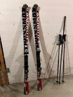 Salomon Ski 160 L160 Crossmax8x stöcke skier Ludwigsvorstadt-Isarvorstadt - Isarvorstadt Vorschau