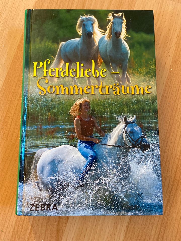 Pferdeliebe- Sommerträume in Hessisch Lichtenau