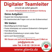Digitaler Teamleiter (m/w/d) Schleswig-Holstein - Delingsdorf Vorschau