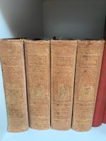 Viele antike alte Bücher - Goethe, Schiller, Cicero, Homer, … München - Trudering-Riem Vorschau