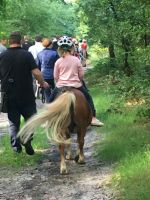 Reiten, Schnupperkurse in den Ferien f. Kinder von 6-10J Nordrhein-Westfalen - Paderborn Vorschau