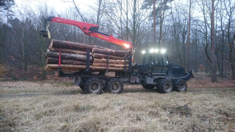 Feuerholz, Brennholz, Kaminholz, Scheitholz ofenfertig in Eilenburg