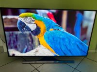Samsung Flat TV UE50 Fernseher 50 Zoll 6450 4K Ultra HD JU Bayern - Marktleuthen Vorschau
