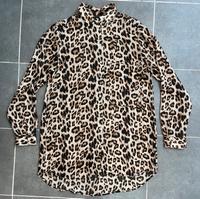 Zara Leo Bluse Kiel - Holtenau Vorschau