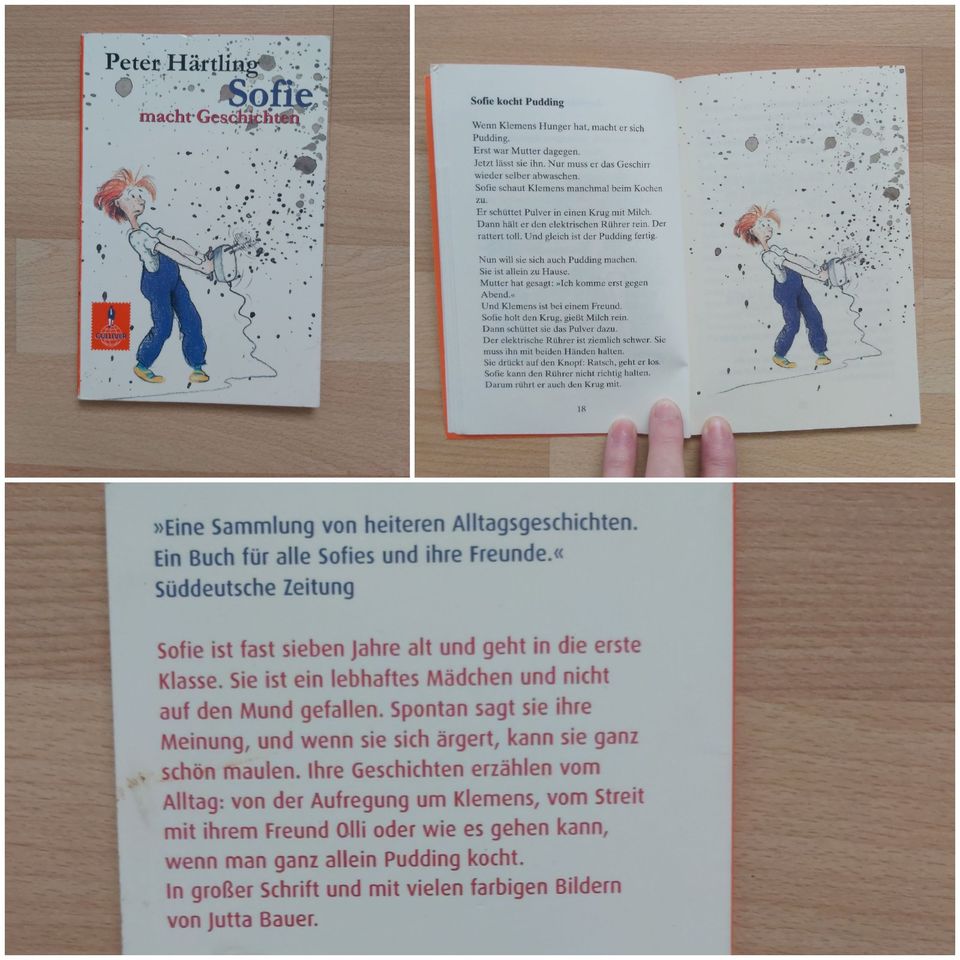 Buch Kinder-Möwenweg,Hexe Lilli,Sofie,Pferde Geschichten -ab 0,50 in Hamburg