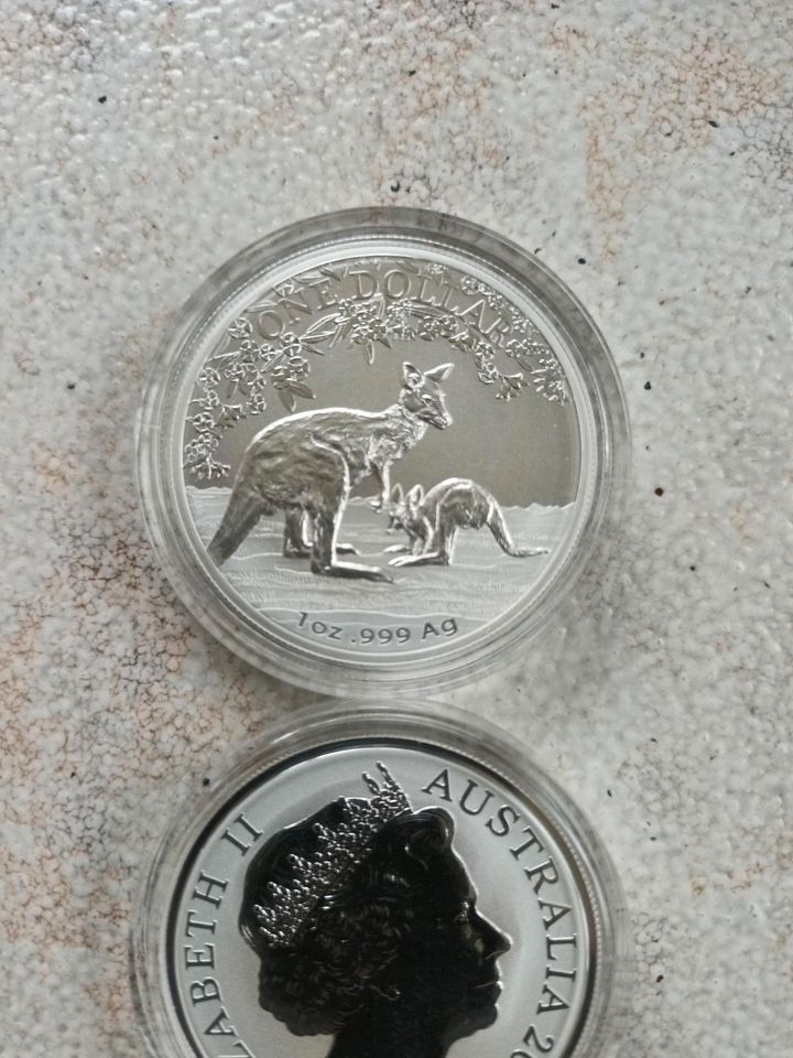 Silbermünze 1 OZ Känguru RAM 2017 Selten!!! in Stuttgart