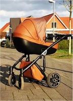 Kinderwagen Anex Sport braun schwarz buggy Sportsitz Niedersachsen - Osterholz-Scharmbeck Vorschau