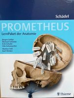 Prometheus LernPaket der Anatomie Schädel Baden-Württemberg - Konstanz Vorschau