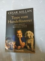 Cesar Millan Tipps vom Hundeflüsterer Berlin - Köpenick Vorschau