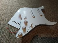 Neues Gitarren Schlagbrett Pickguard Guitar Stratocaster weis Bayern - Hof (Saale) Vorschau