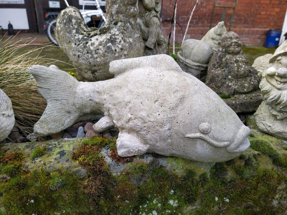 Tolle Deko für Gartenteich! Koi Karpfen aus Steinguss! Frostfest! in Bückeburg