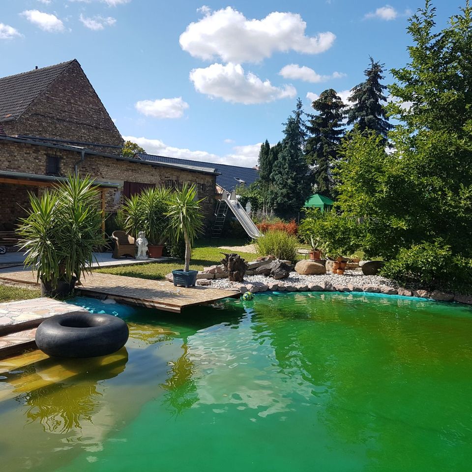 Folie schweißen,Teichbau,Naturpool,Badefass,Poolfolie,Dach in Sandersdorf