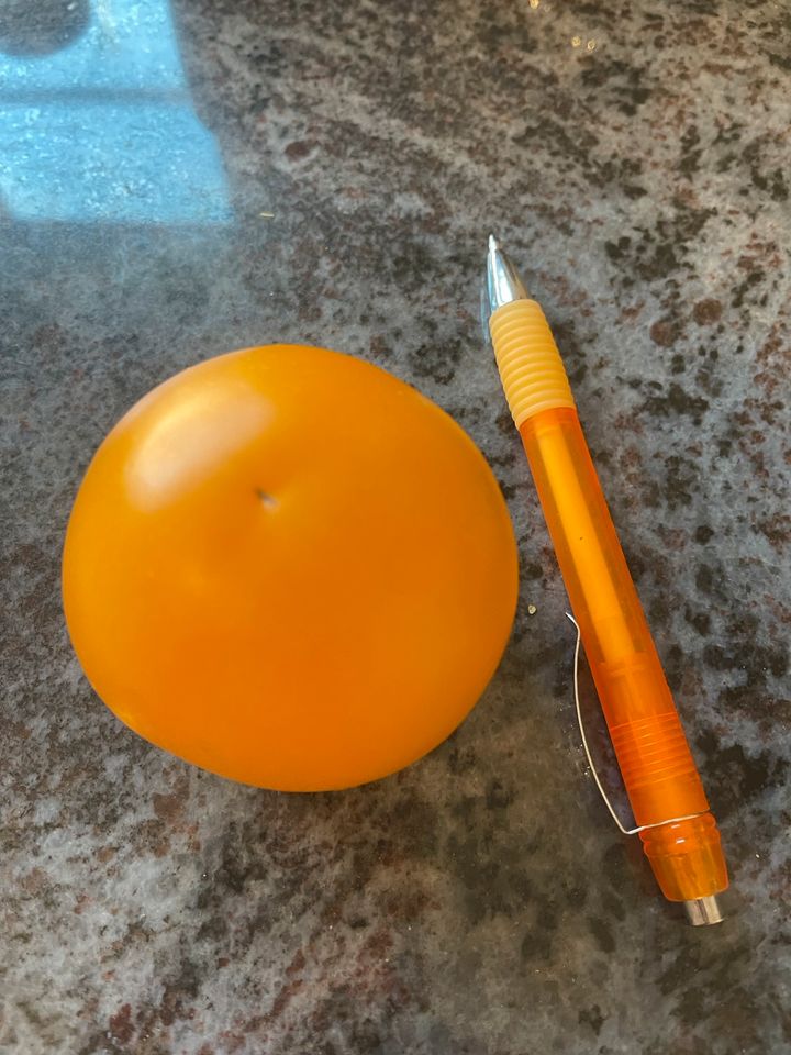 Saatgut gelbe Tomate in Meißenheim