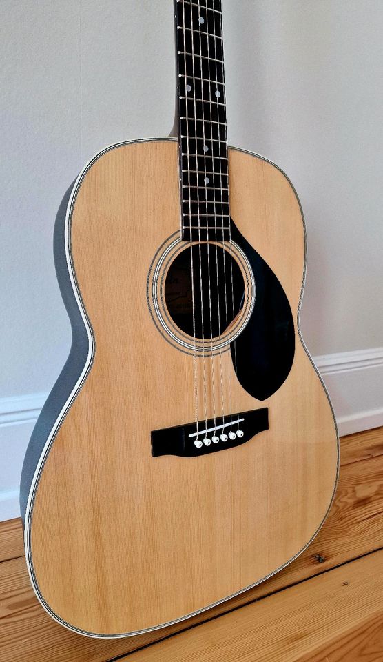 Maxwin PEARL Gitarre Western akustische mit Tonabnehmer TA 100-E in Hamburg