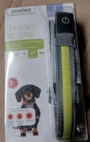 Zoofari LED Hundehalsband Gelb/grau #Neu# Größe S Sachsen - Taura Vorschau