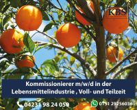 Lagerhelfer/ Kommissionierer (m/w/d) Niedersachsen - Eickeloh Vorschau