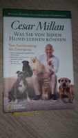 5 Neue Cesar Millan Bücher,, verschiedene..!!!Top Preis...! Sachsen-Anhalt - Jessen (Elster) Vorschau