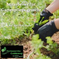 538,00 € - Minijob in der Gartenpflege Niedersachsen - Westerstede Vorschau