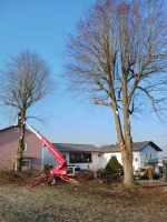 Baumfällungen, Baggerarbeiten,Pflasterarbeiten Bayern - Aldersbach Vorschau