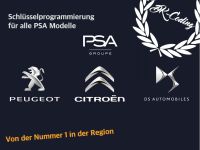 Peugeot / Citroen Schlüssel inklusive Programmierung/fräsen Baden-Württemberg - Kronau Vorschau